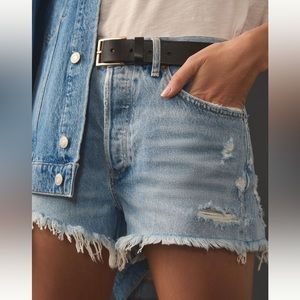 Agolde Parker Short in Swapmeet